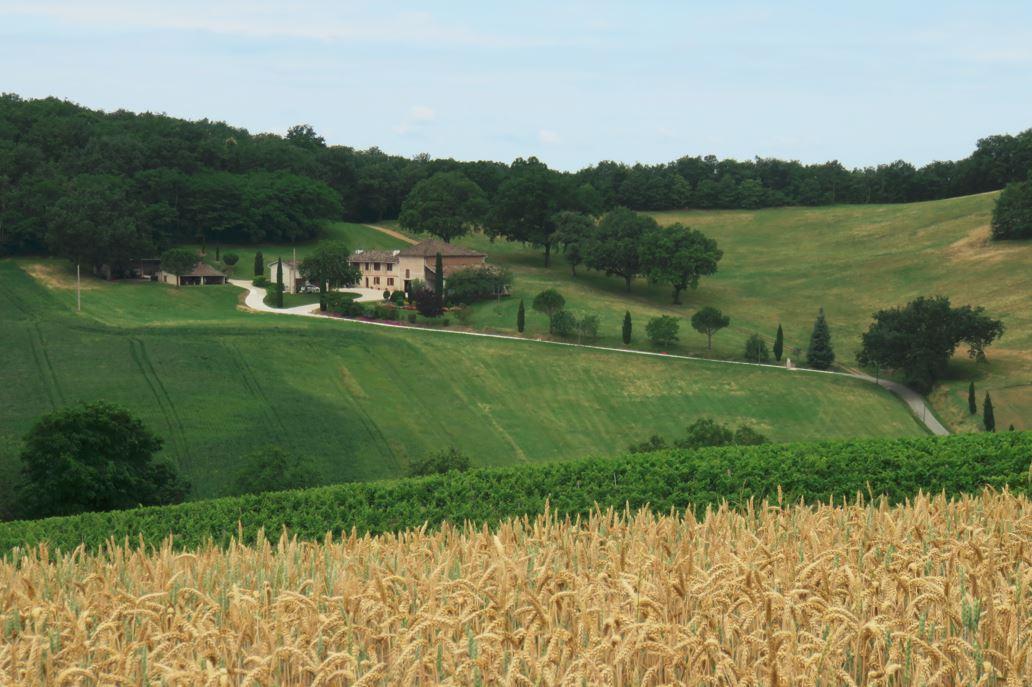 Paysage