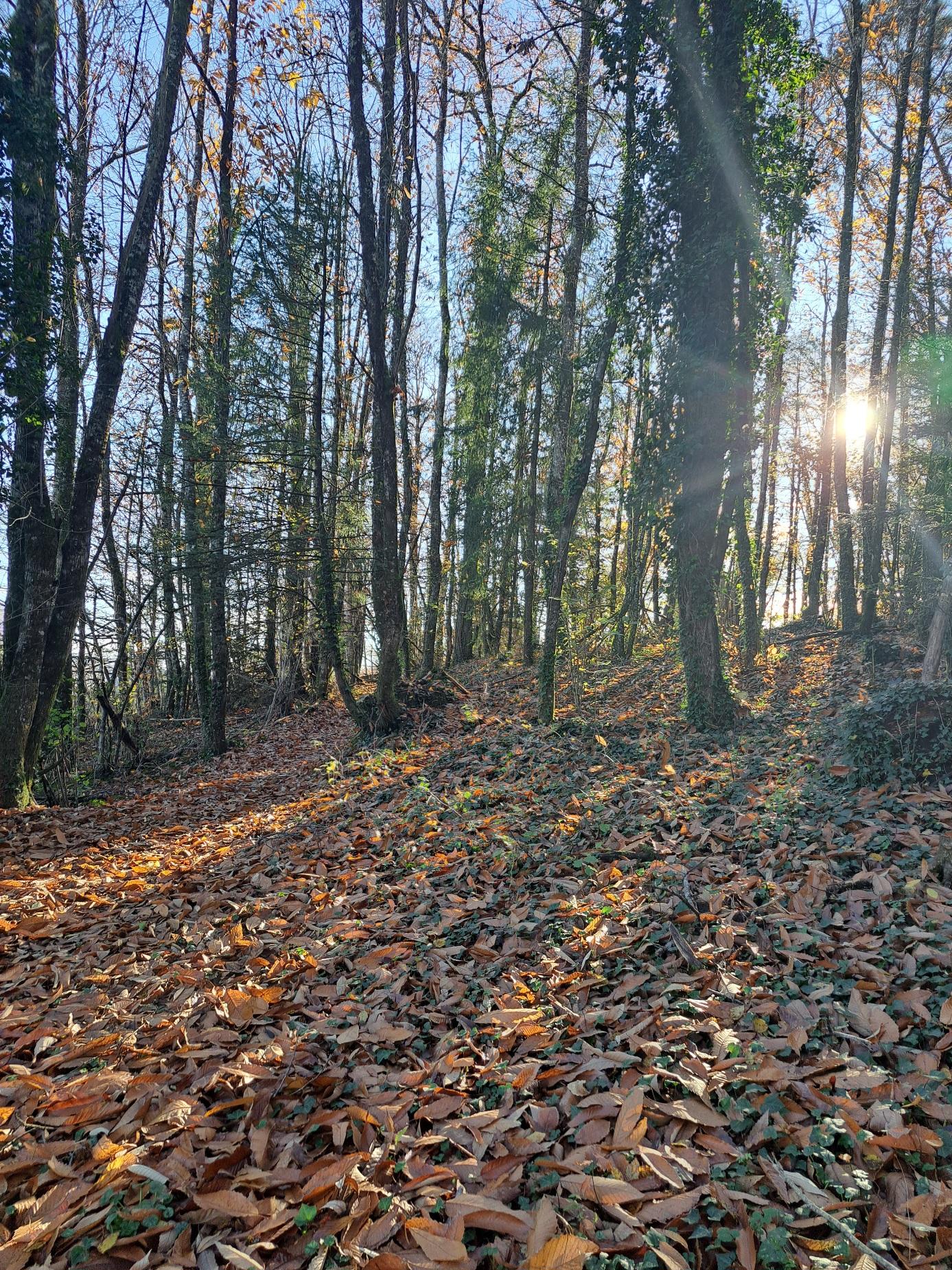 Belles couleurs d'automne