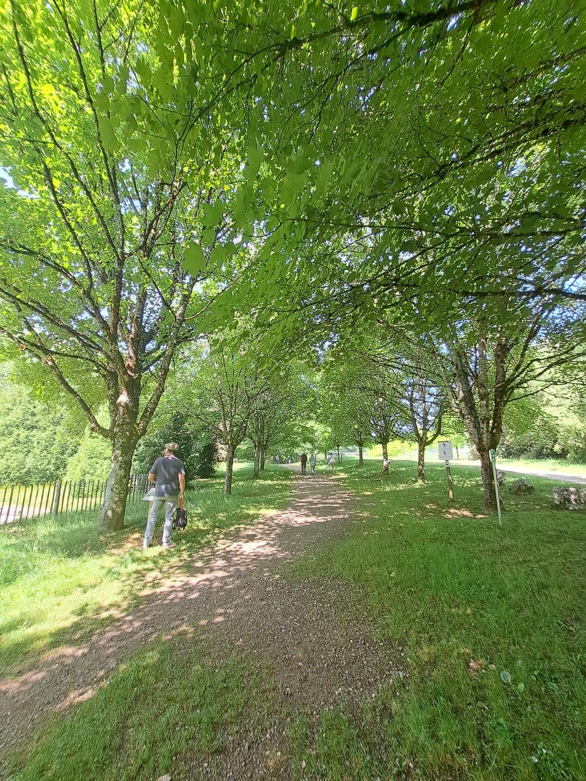 SOUS LES ARBRES MAJESTUEUX