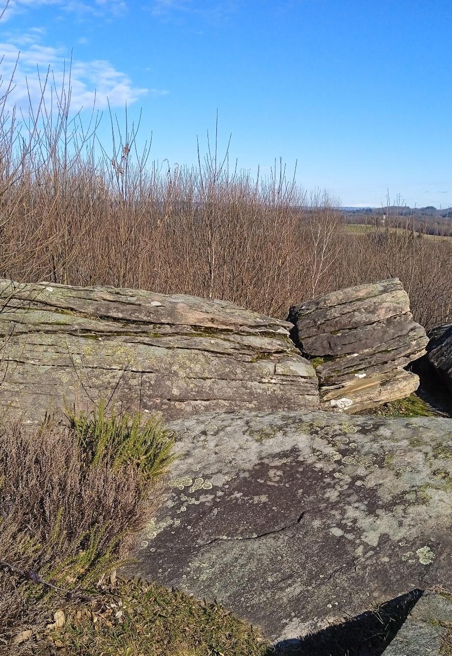 Des orthogneiss vieux de plusieurs centaines de millions d'années