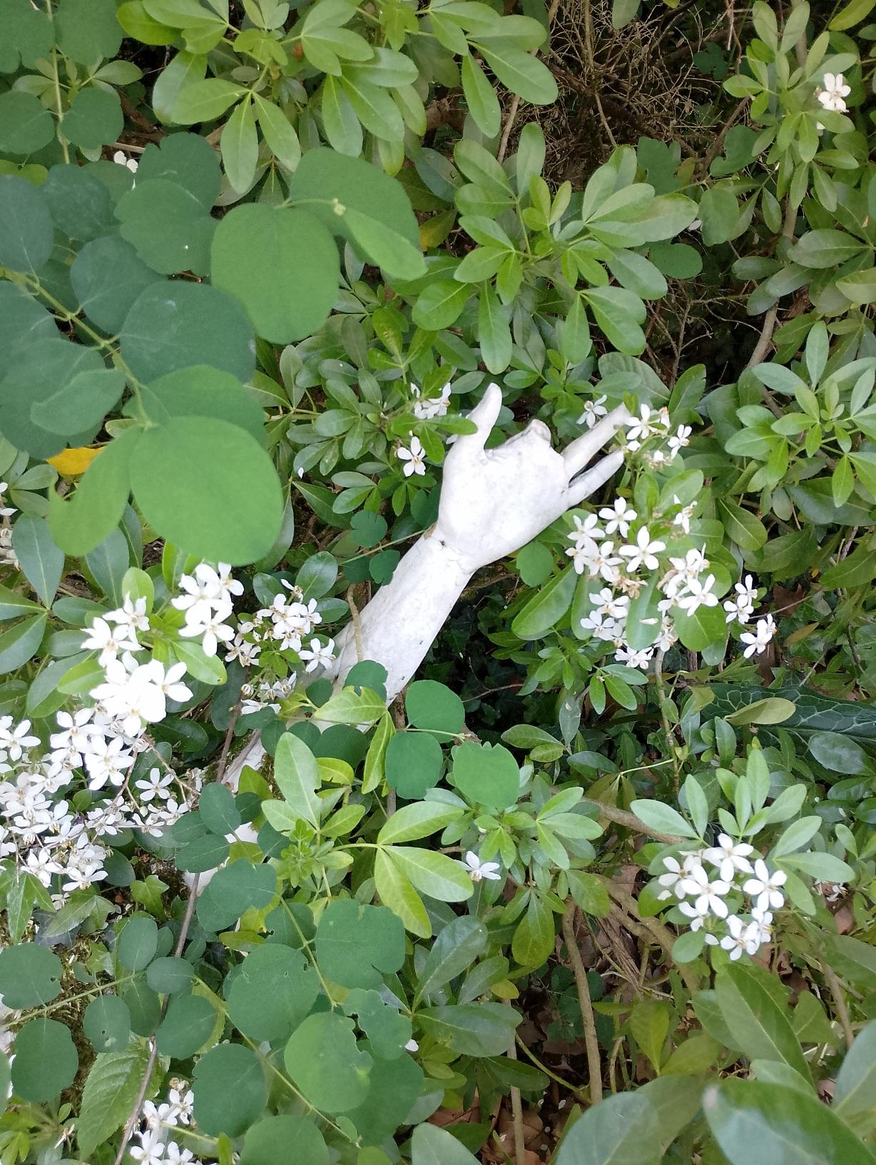Forêt maléfique