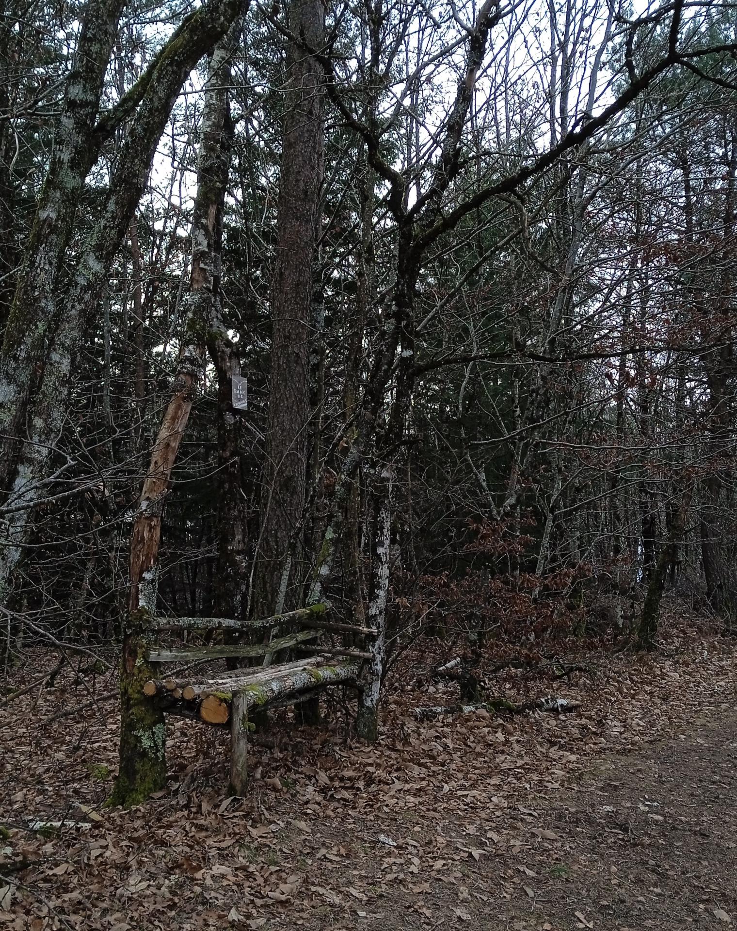 Le banc des amours