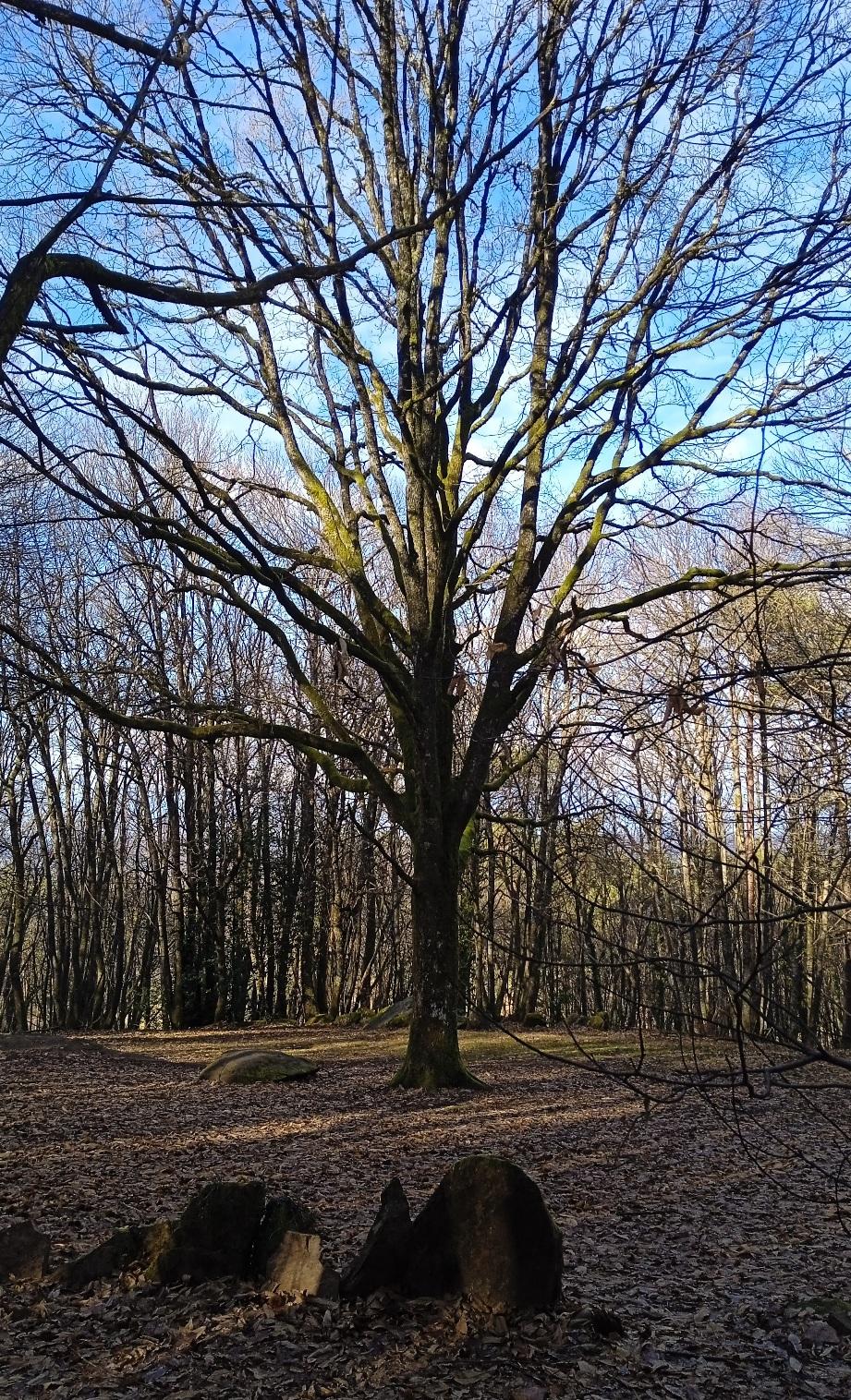 Le mysterieux cromlech